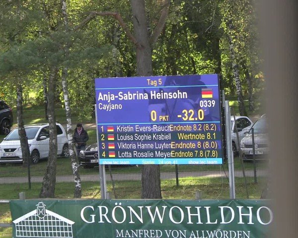 Reitturnier Westergellersen 2024