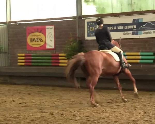 Kevelaer-Wetten 2013
