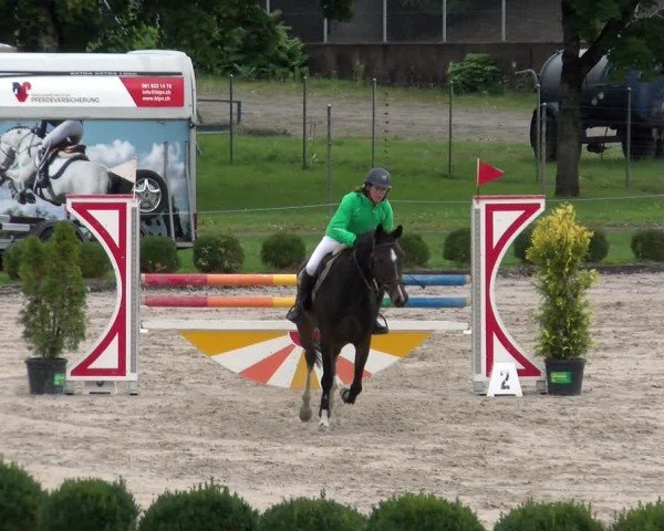 Reitturnier Basel 2024