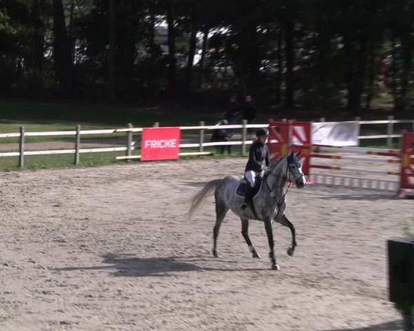 Reitturnier Westergellersen 2024