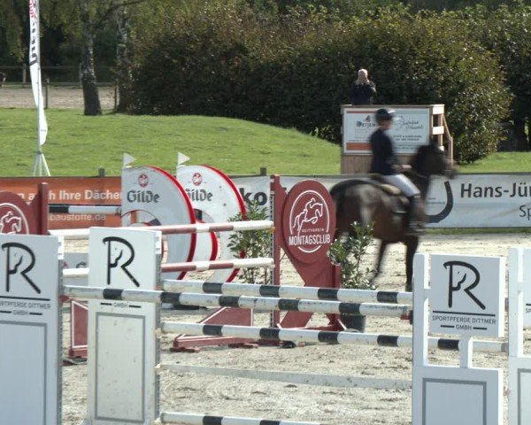 Reitturnier Westergellersen 2024