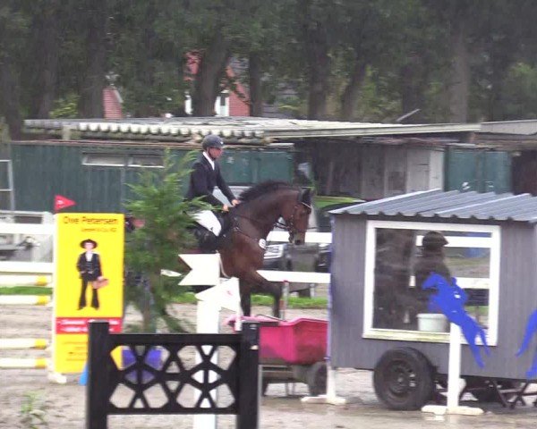 Reitturnier Mildstedt - Jumping Team Nord - 2024