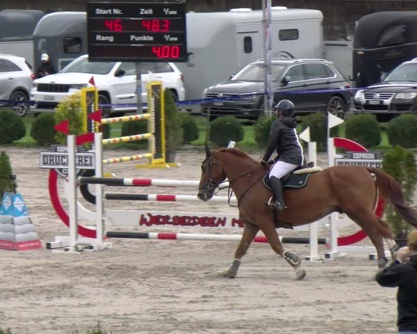 Reitturnier Basel 2024