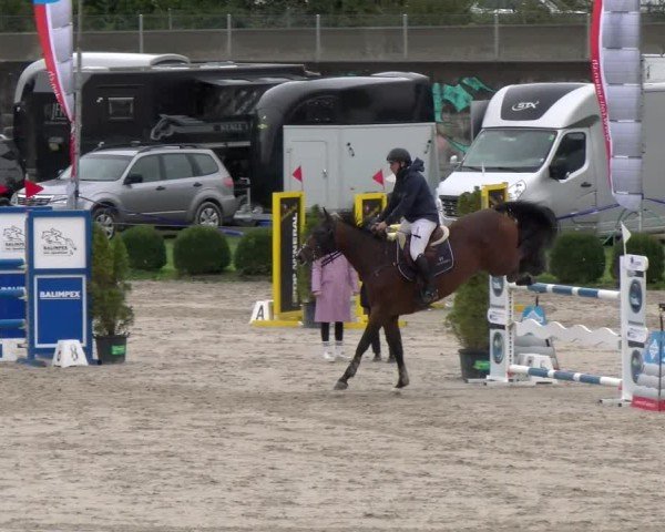 Reitturnier Basel 2024
