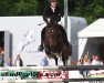 Springpferd Inuus van de Faunushoeve (Belgisches Warmblut, 2008, von Boris van het Kluizebos)