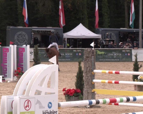 Reitturnier Ranshofen - Braunau am Inn 2024