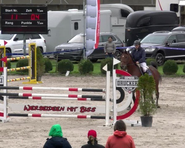 Reitturnier Basel 2024