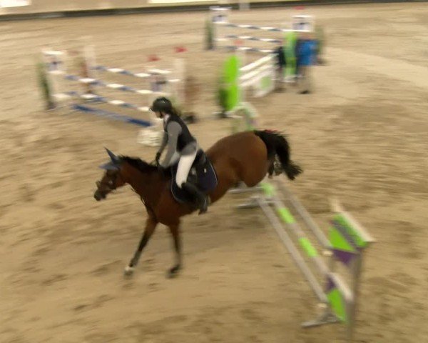 Reitturnier Winterthur 2024