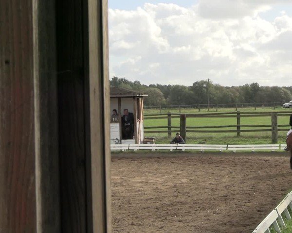 Reitturnier Baitz 2024