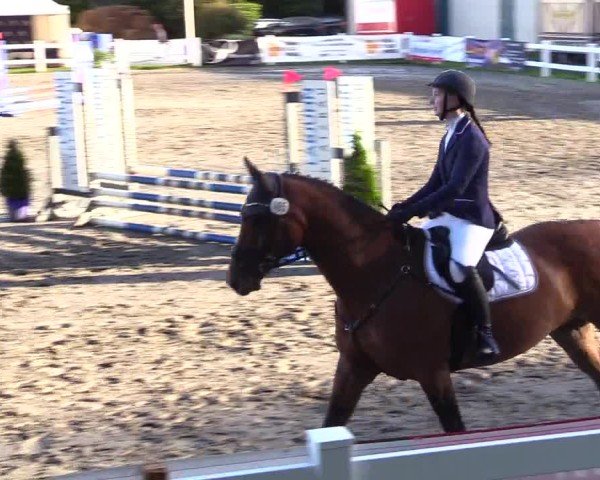 Reitturnier Mildstedt - Jumping Team Nord - 2024