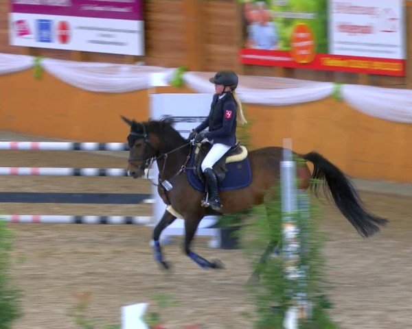 Reitturnier Xanten - Reitanlage Miss 2024
