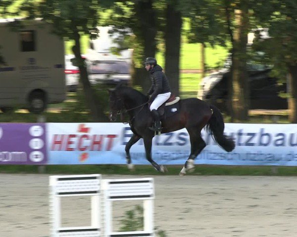 Reitturnier Westergellersen 2024