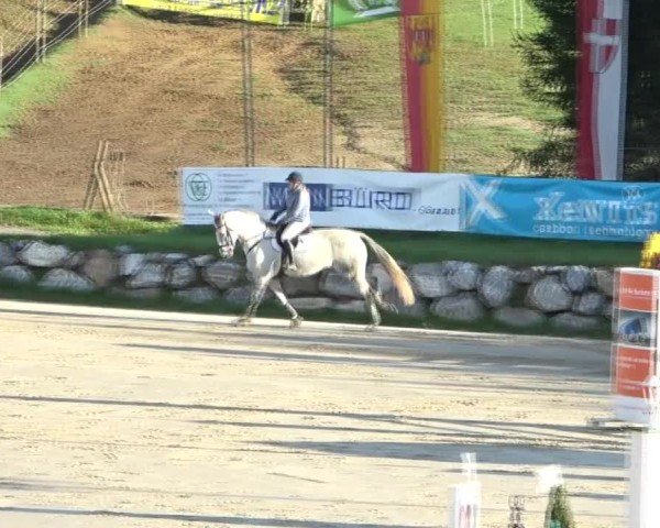 Reitturnier Preding 2024