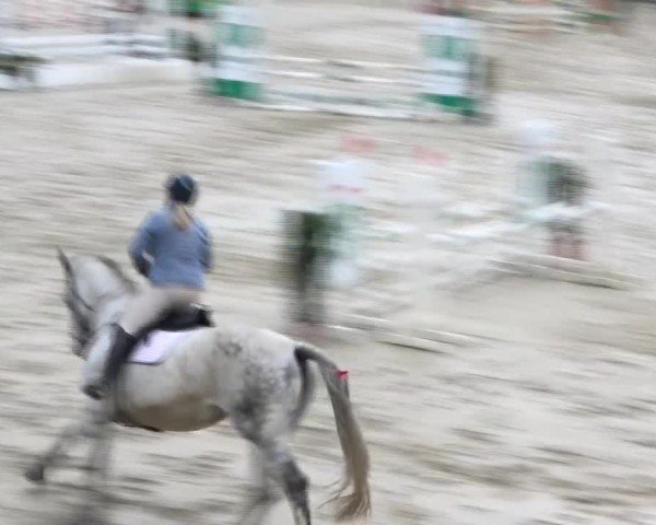 Reitturnier Preding 2024