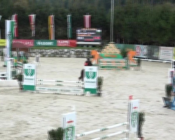 Reitturnier Preding 2024