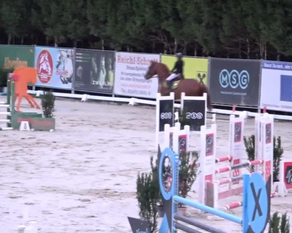 Reitturnier Preding 2024