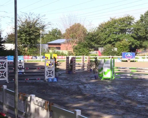 Reitturnier Mildstedt - Jumping Team Nord - 2024