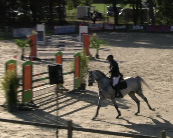 Reitturnier Westergellersen 2024