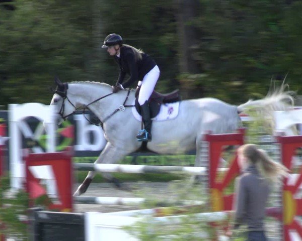 Reitturnier Westergellersen 2024