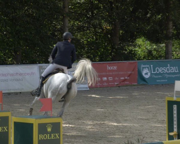 Reitturnier Karlsfeld/Obb. 2024