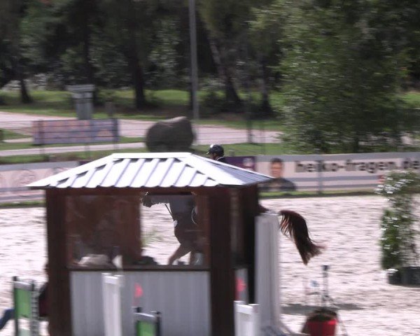 Reitturnier Westergellersen 2024