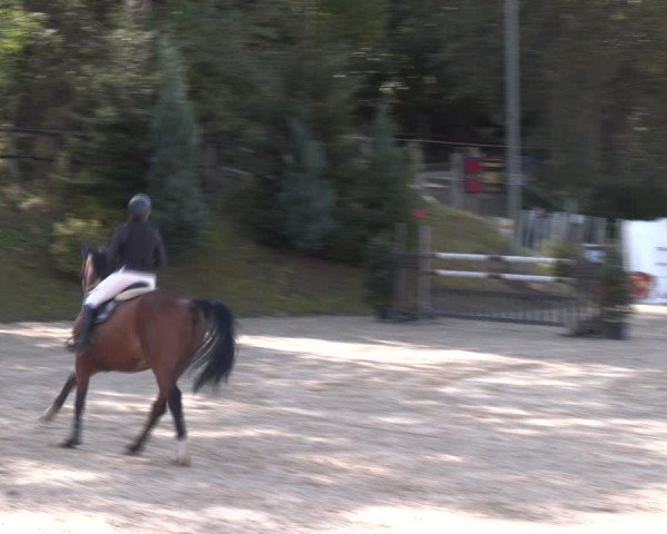 Reitturnier Igls 2024