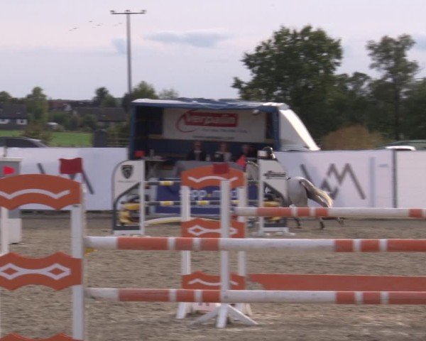 Reitturnier Poxdorf/Ofr 2024