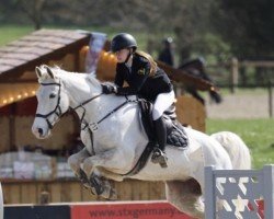 jumper Cellest 6 (Oldenburg show jumper, 2012, from Cellestial)