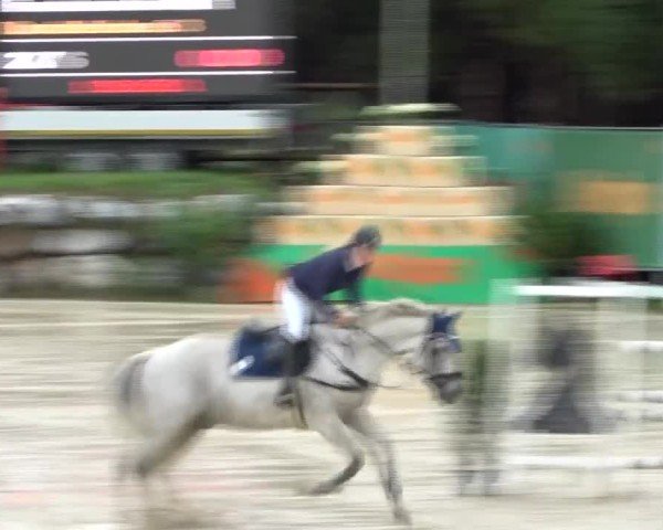 Reitturnier Preding 2024