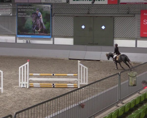 Reitturnier Luhmühlen 2021