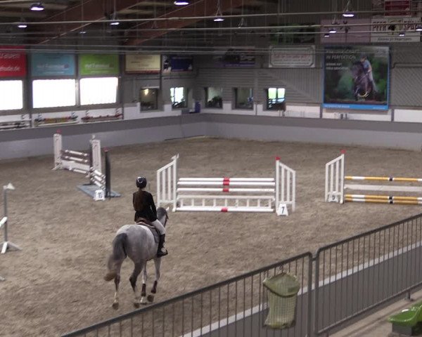 Reitturnier Luhmühlen 2021