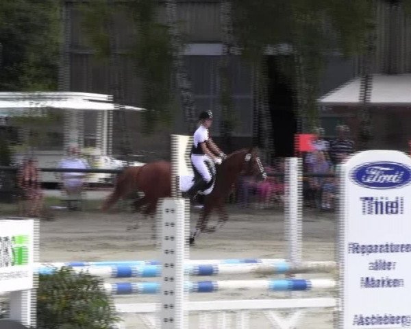 Großes Reit- und Springturnier 2013 des RuF