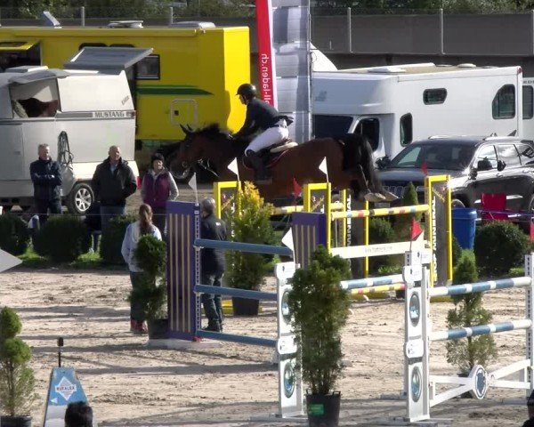 Reitturnier Basel 2024