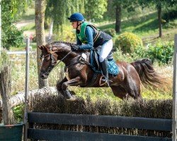 jumper Starpower Tila (German Riding Pony, 2014, from Carnuet)