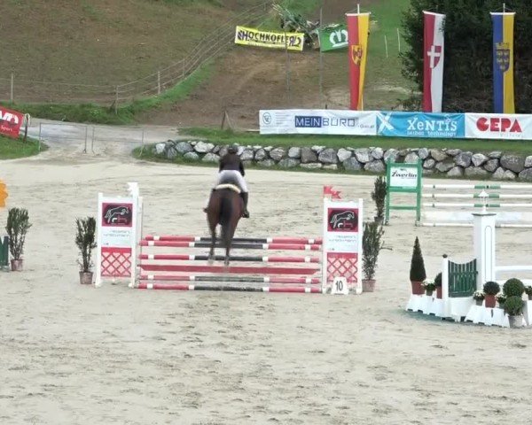 Reitturnier Preding 2024