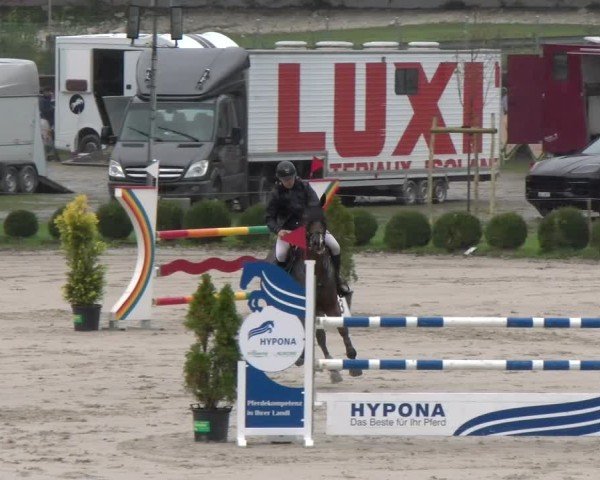 Reitturnier Basel 2024