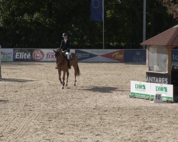 Reitturnier Karlsfeld/Obb. 2024