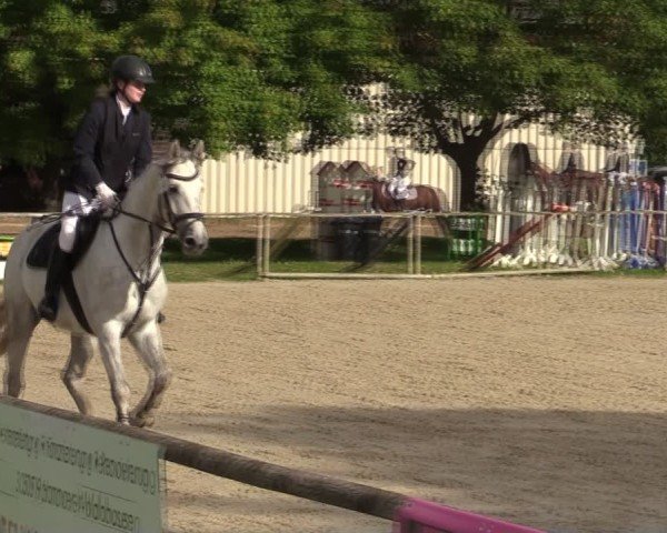 Reitturnier Springe 2024