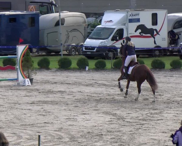 Reitturnier Basel 2024