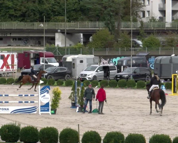 Reitturnier Basel 2024