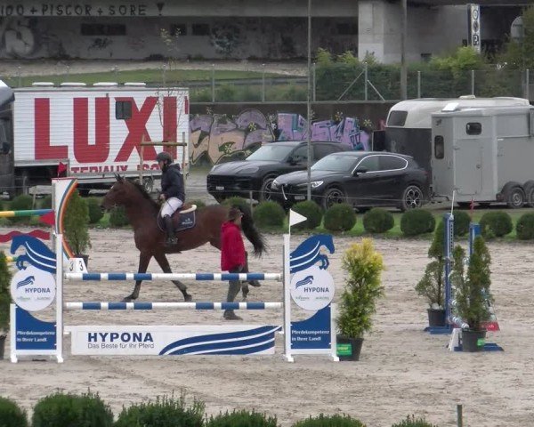 Reitturnier Basel 2024