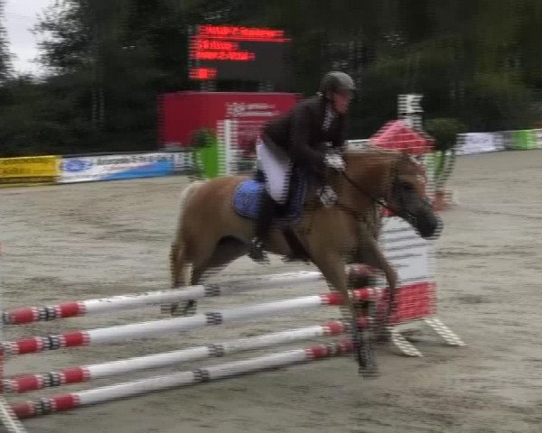 Großes Reit- und Springturnier 2013 des RuF