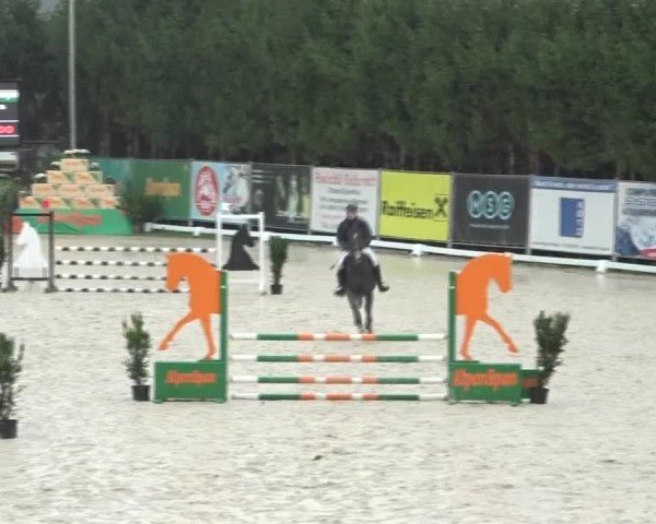 Reitturnier Preding 2024