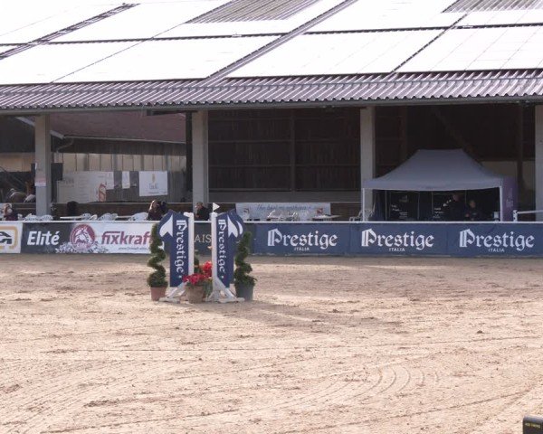 Reitturnier Ranshofen - Braunau am Inn 2024