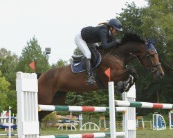 jumper Frauke Holstein (Holsteiner, 2017, from Million Dollar)