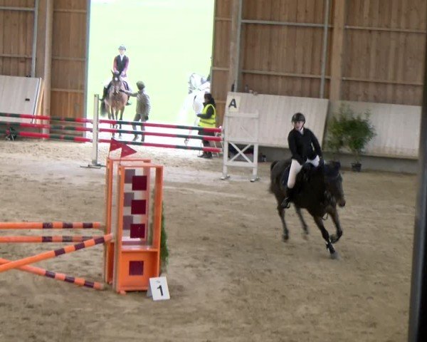 Reitturnier Winterthur 2024
