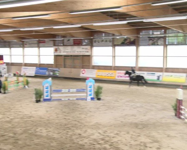 Reitturnier Winterthur 2024