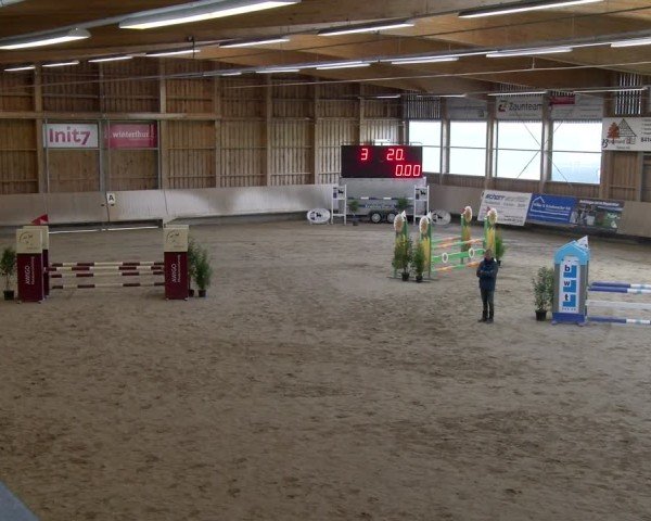 Reitturnier Winterthur 2024