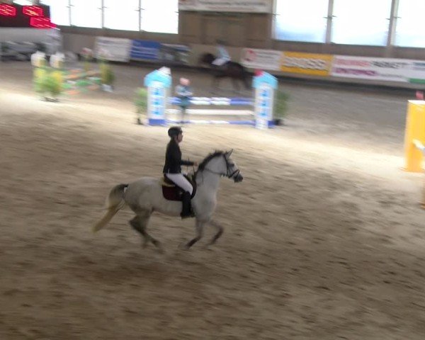 Reitturnier Winterthur 2024
