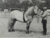 Deckhengst Macgregor of Achnacarry (Highland-Pony, 1986, von Marksman of Gleneagles)